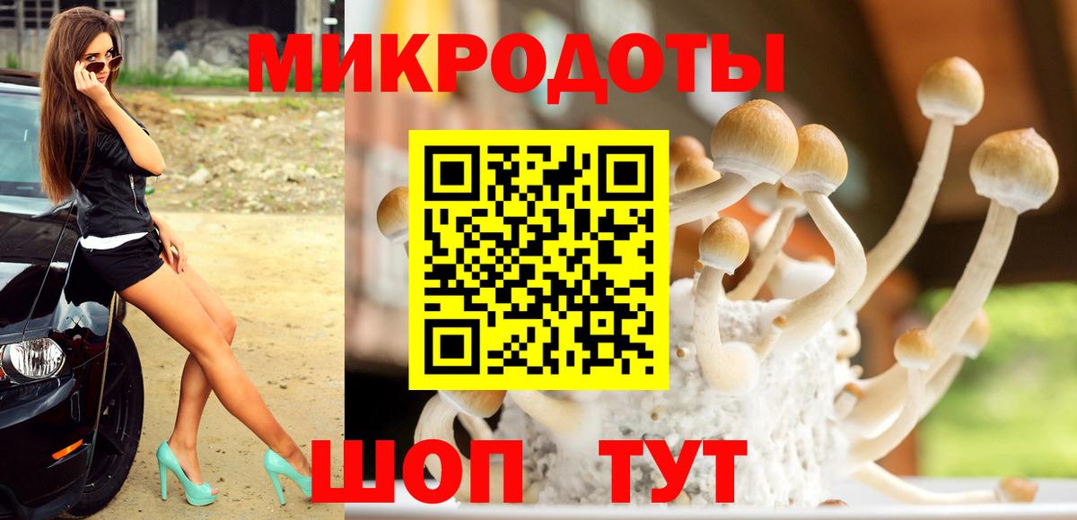 Псилоцибиновые грибы мицелий Геленджик